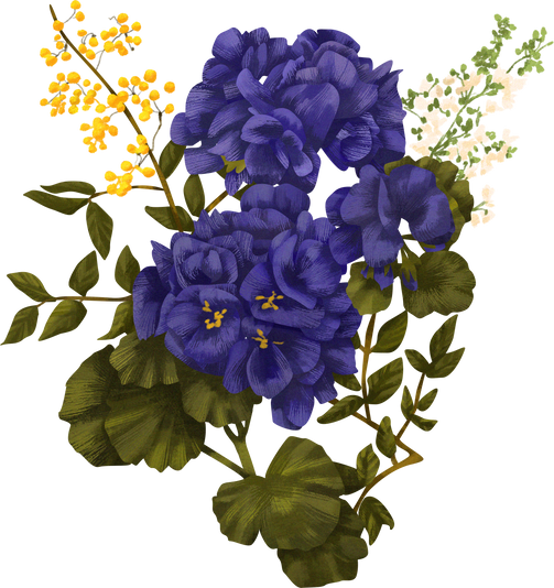 Detailed Illustrated Germaniums