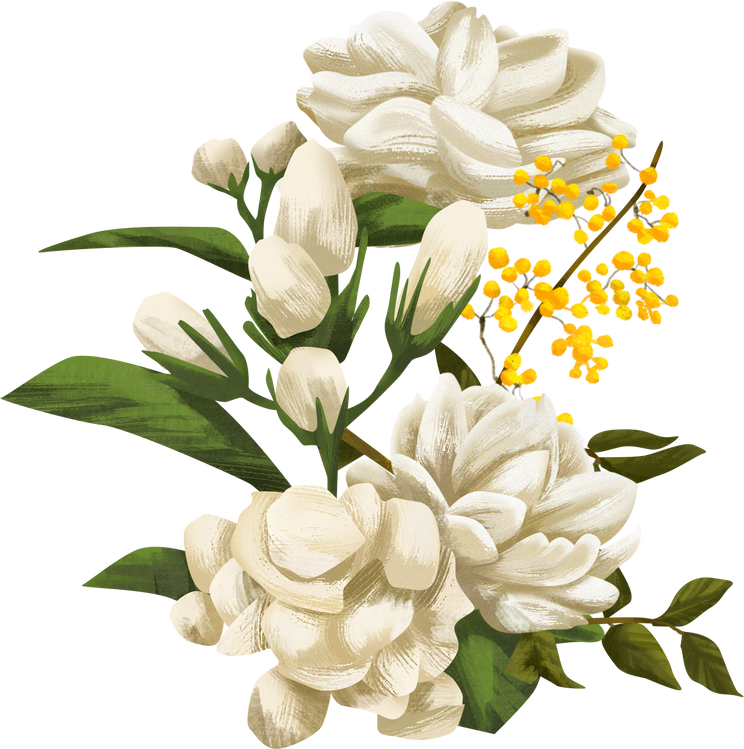 Detailed Illustrated Jasmines and Rue